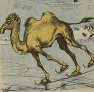 Meet your Posher, Carrie